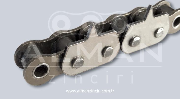 Sivri Kulak İwis Model